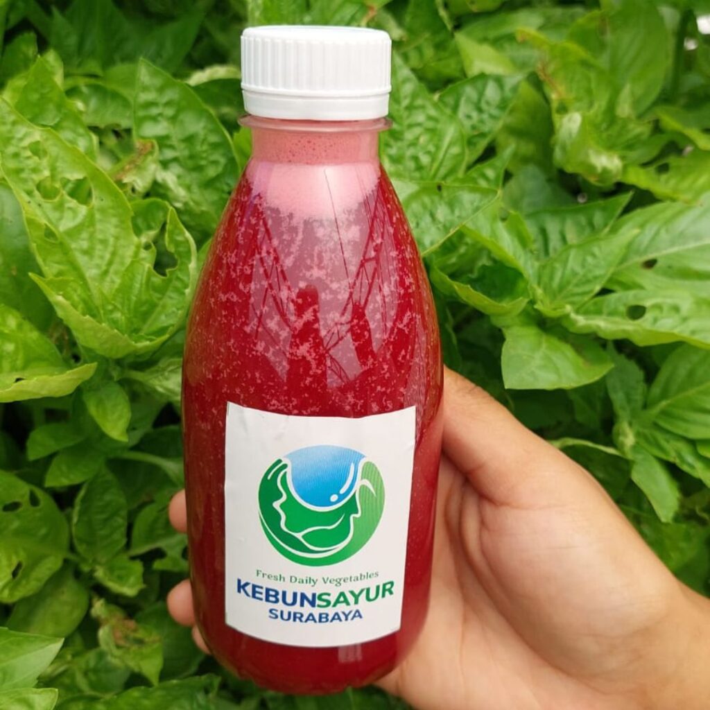 Jual Jus Sayur Segar Sidoarjo 