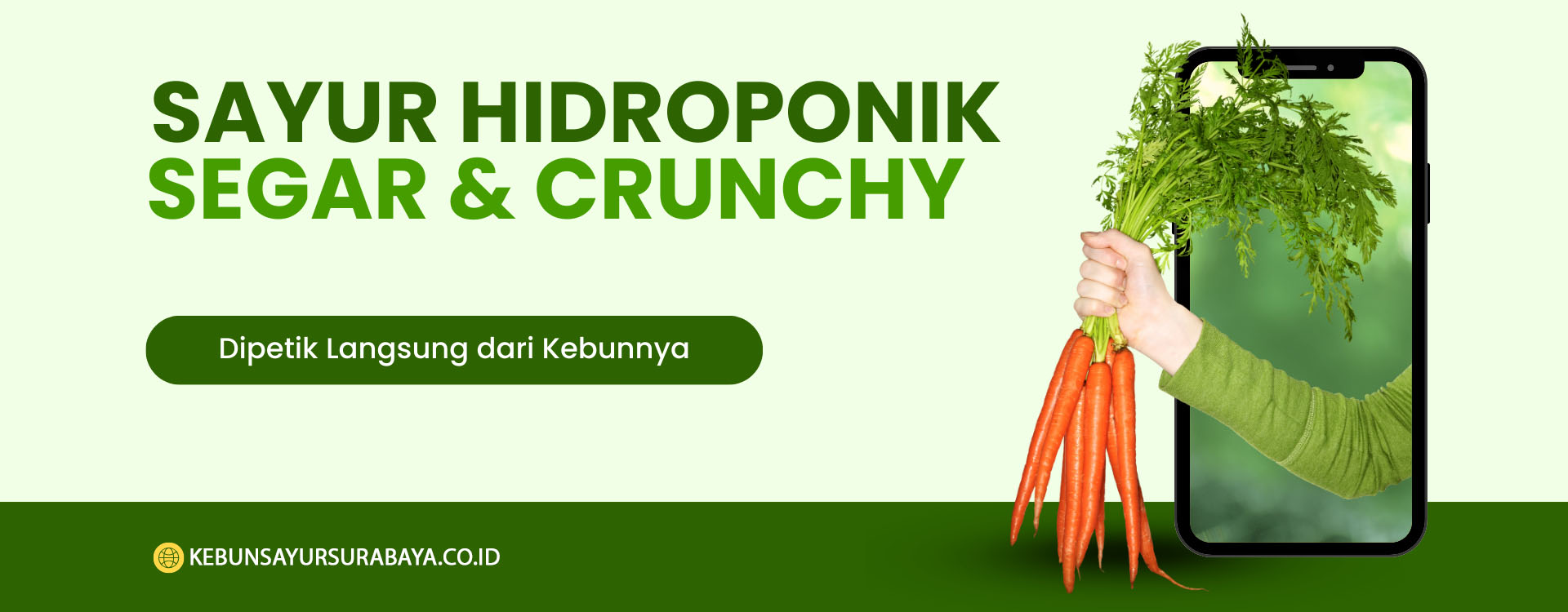 Kebun Sayur Surabaya - 2