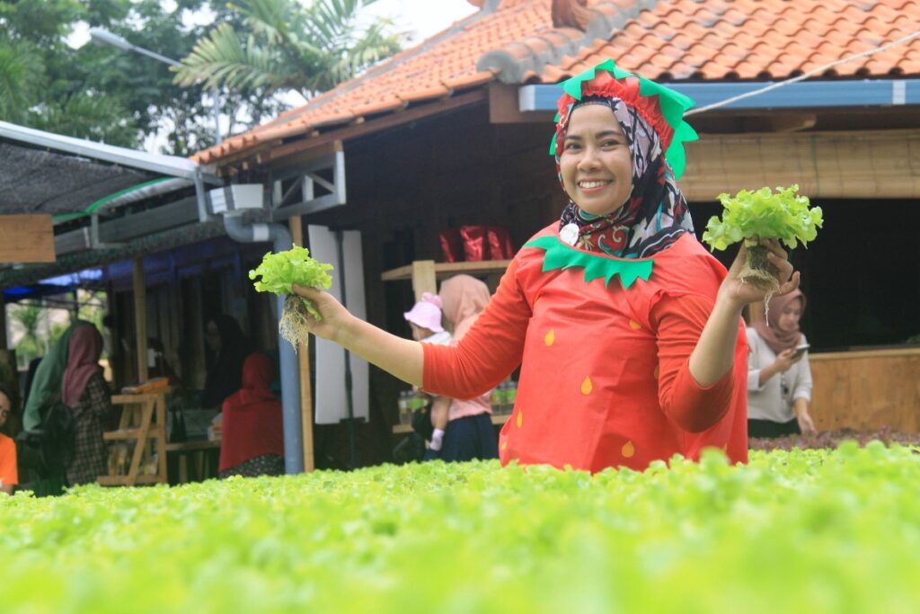 Cara Menjaga Kualitas Sayur Segar