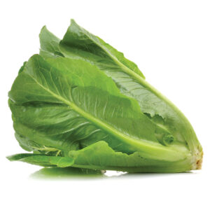 Selada Romaine
